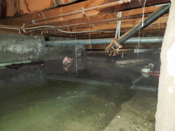 Best Commercial water damage restoration  in Burgaw, NC