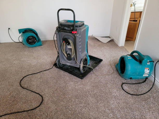 Best Water damage cleanup near me  in Burgaw, NC