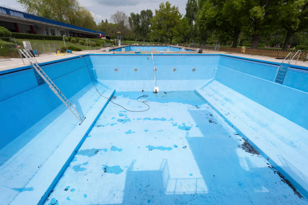 Best Carpet water damage restoration  in Burgaw, NC
